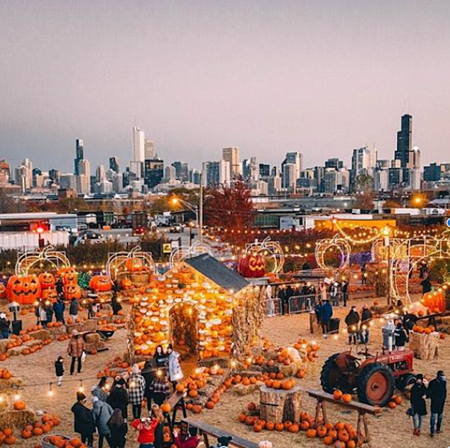 Chicago Fall Date Ideas For Engaged Couples – Hitched