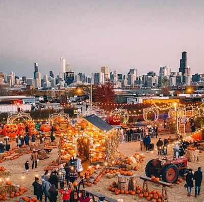 Chicago Fall Date Ideas For Engaged Couples