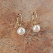 14K Freshwater Cultured Pearl Lever Earrings