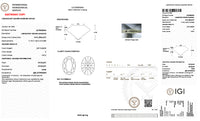 The Signature Hidden Halo | 2.57CT Oval Lab Diamond | 14K YG
