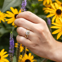 A close-up of a hand wearing a gold ring with a round-cut diamond and wedding band, set against a background of yellow flowers and green foliage.