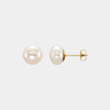 14K Freshwater Cultured Button Pearl Studs