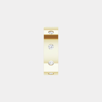 The Gold Flat Flush Set Eternity Band