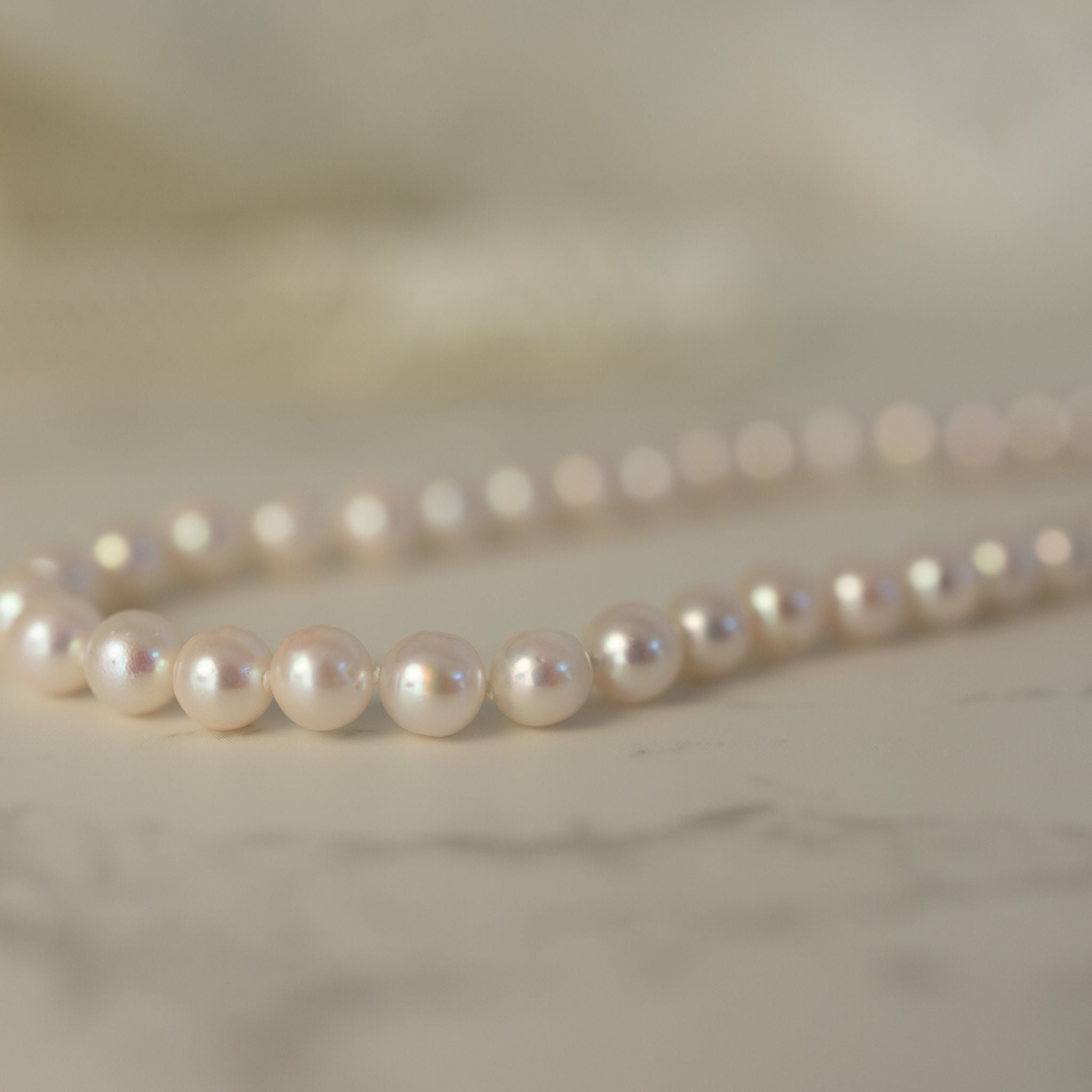 5-5.5mm Pink Akoya Pearl Strand with 14K Clasp Lifestyle