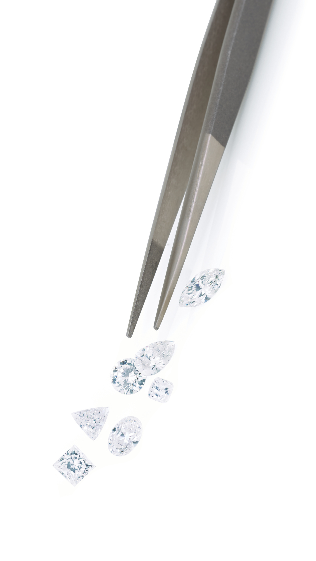 Untitled_design_15_e515858a-e67a-4147-8561-6c8dd527c675.png