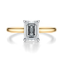 Signature Cathedral Emerald Engagement Ring - Two-Tone Polished Band - Front View