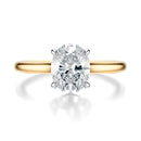 Signature Cathedral Oval Engagement Ring - Two-Tone Polished Band - Front View