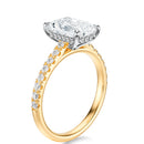 Signature Cathedral Hidden Halo Radiant Engagement Ring - Two-Tone Pavé Band - Side View