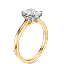Signature Cathedral Elongated Cushion Engagement Ring - Two-Tone Polished Band - Side View