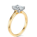 Signature Cathedral Emerald Engagement Ring - Two-Tone Polished Band - Side View