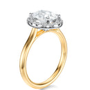 Signature Halo Oval Engagement Ring - Two-Tone Polished Band - Side View