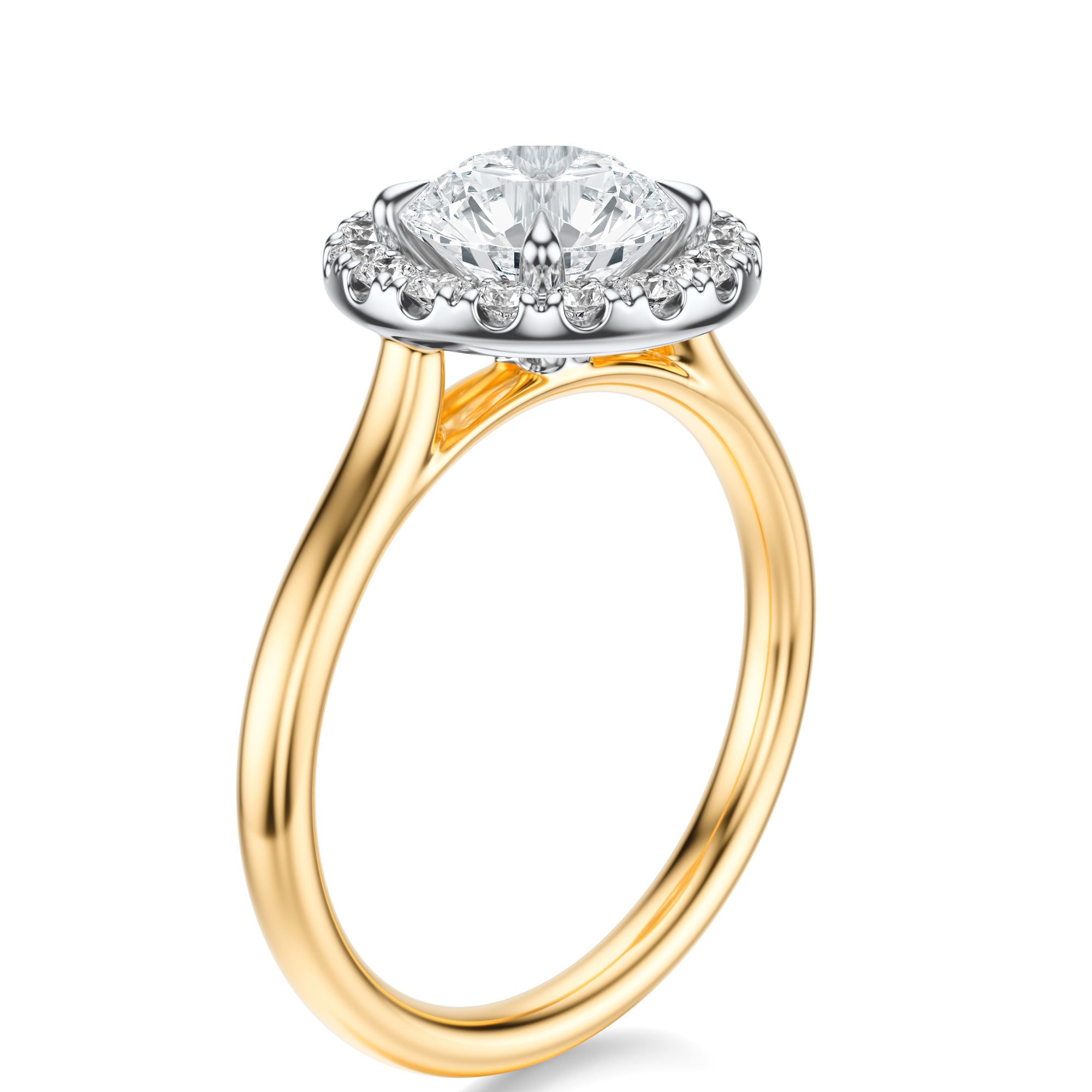 Signature Halo Round Engagement Ring - Two-Tone Polished Band - Side View