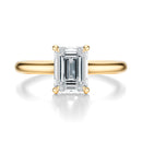 Signature Cathedral Hidden Halo Emerald Engagement Ring - Yellow Gold Polished Band - Front View