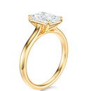 Signature Cathedral Radiant Engagement Ring - Yellow Gold Polished Band - Side View