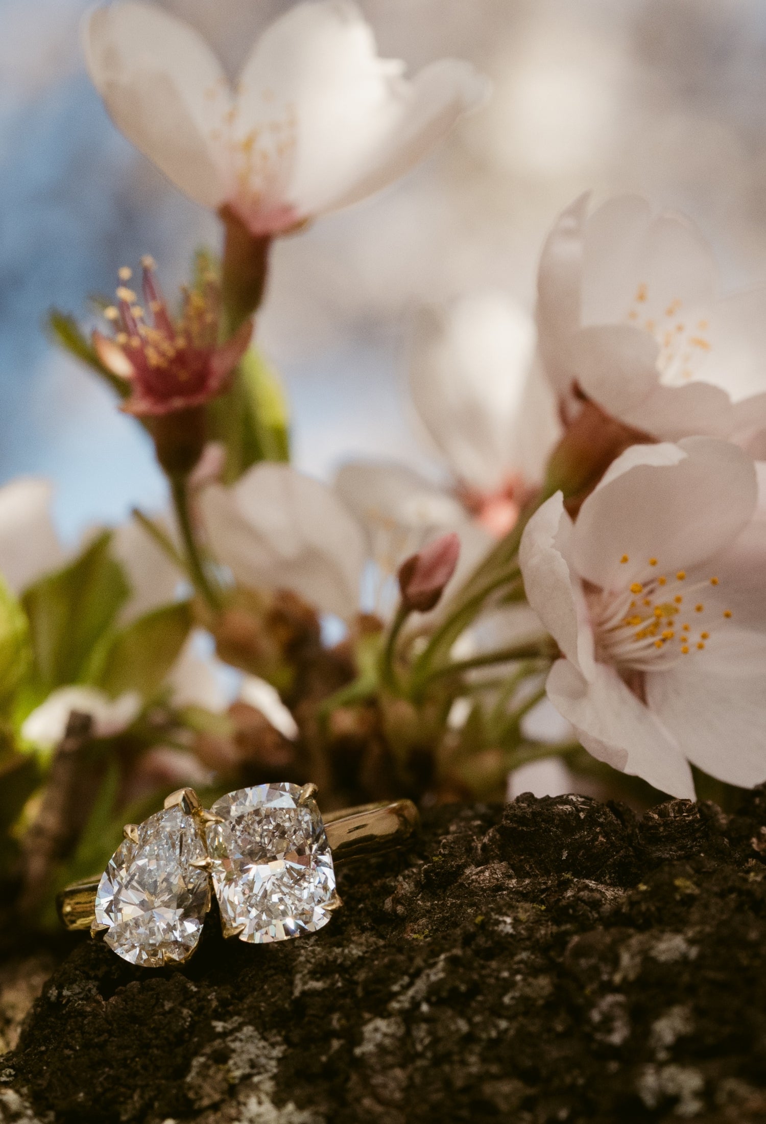 Hitched Fine Jewelry