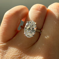hitched platinum signature cathedral engagement ring with hidden halo and oval center on model