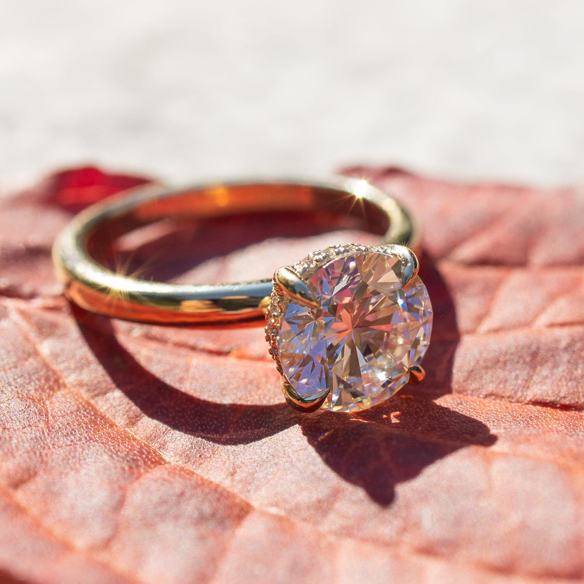 A macro shot of a yellow gold round engagement ring sitting on a red leaf in sunlight.