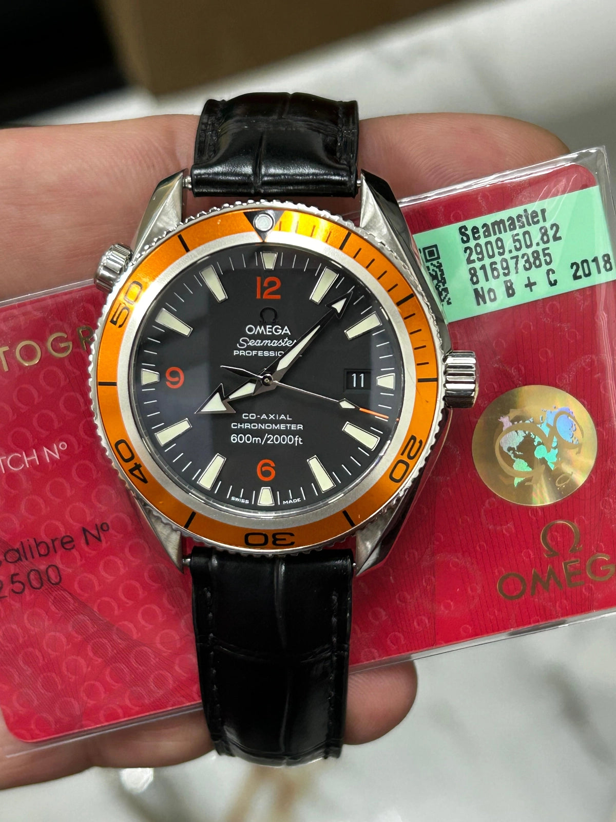 Omega Seamaster | Hitched Fine Jewelry