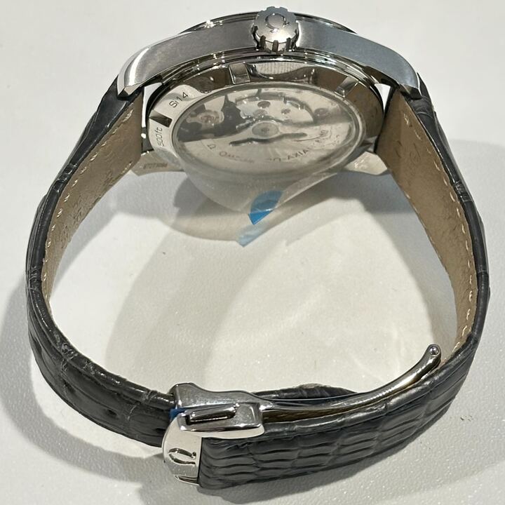 Omega 231.13.39.21.57.001 — view 2
