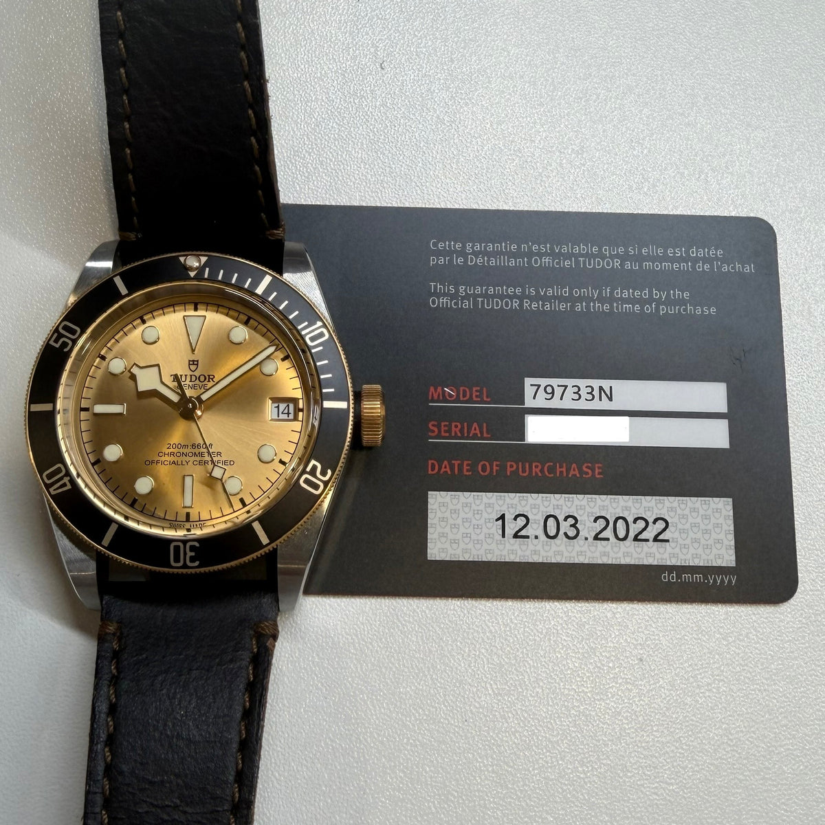 Tudor Black Bay 79733N-0003 — view 3