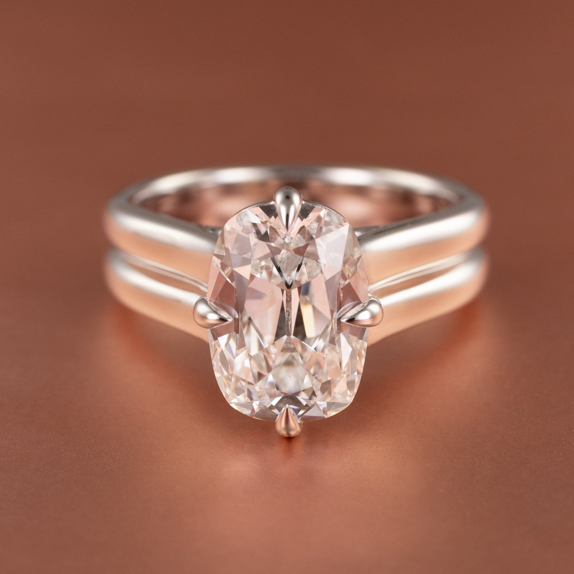 An engagement ring with a bold double band setting and compass set prongs