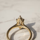 A gold ring with a marquise-cut diamond in a tulip hidden halo setting, resting on a light marble surface with a soft shadow.