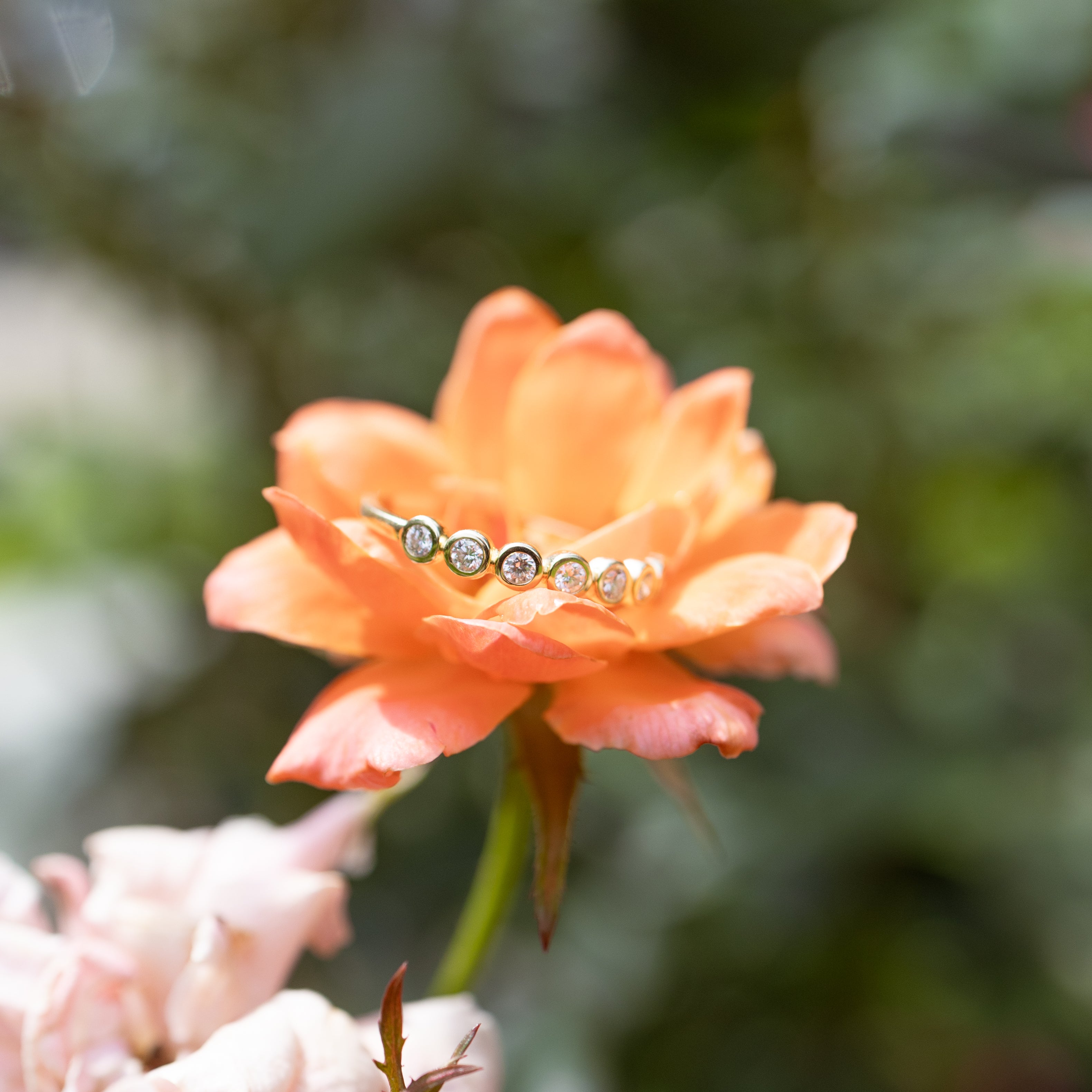 A delicate gold ring with small round diamonds rests on the petals of an orange rose, set against a soft, blurred green garden background.