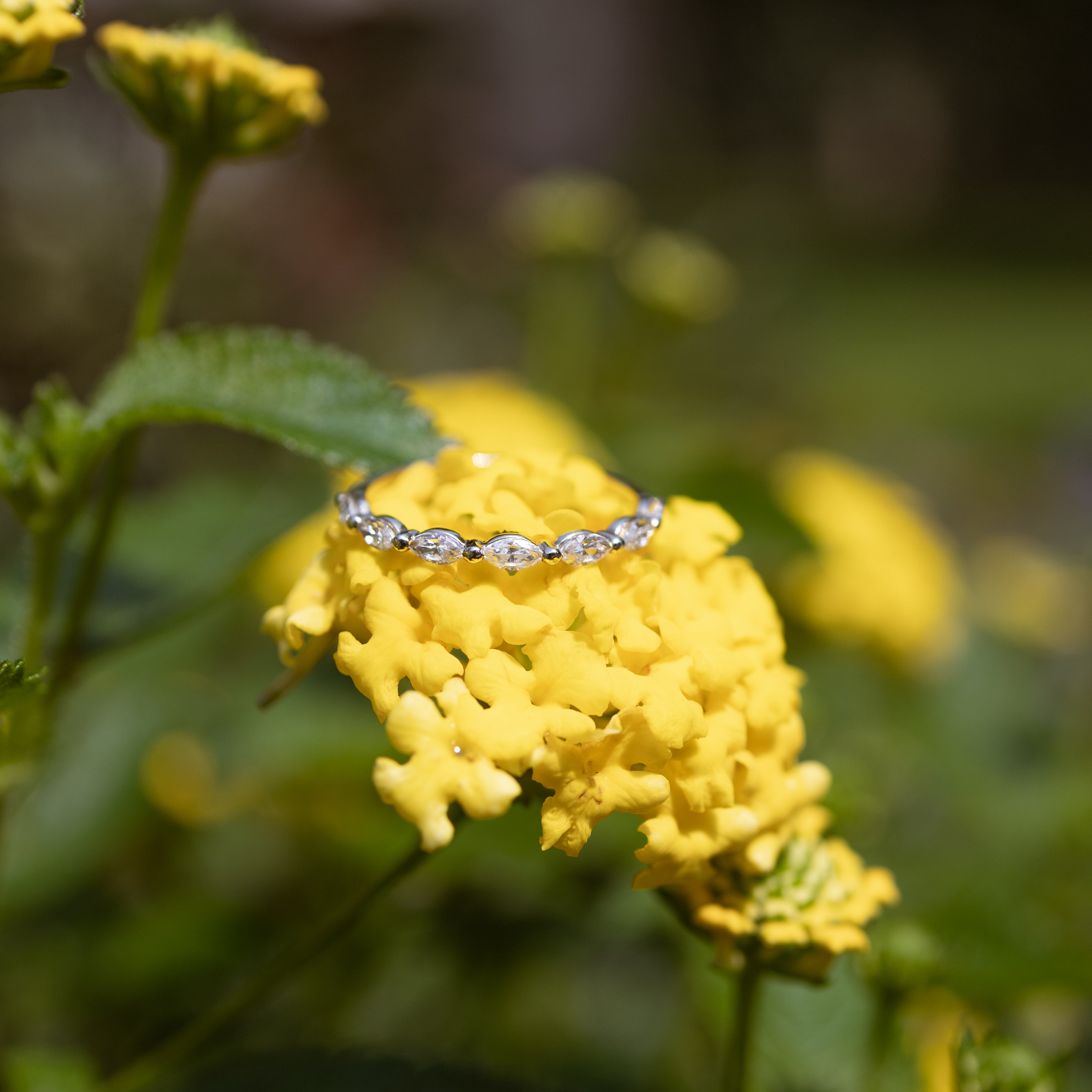 A white gold single prong diamond ring with marquise diamonds resting on a yellow flower in a green garden setting.