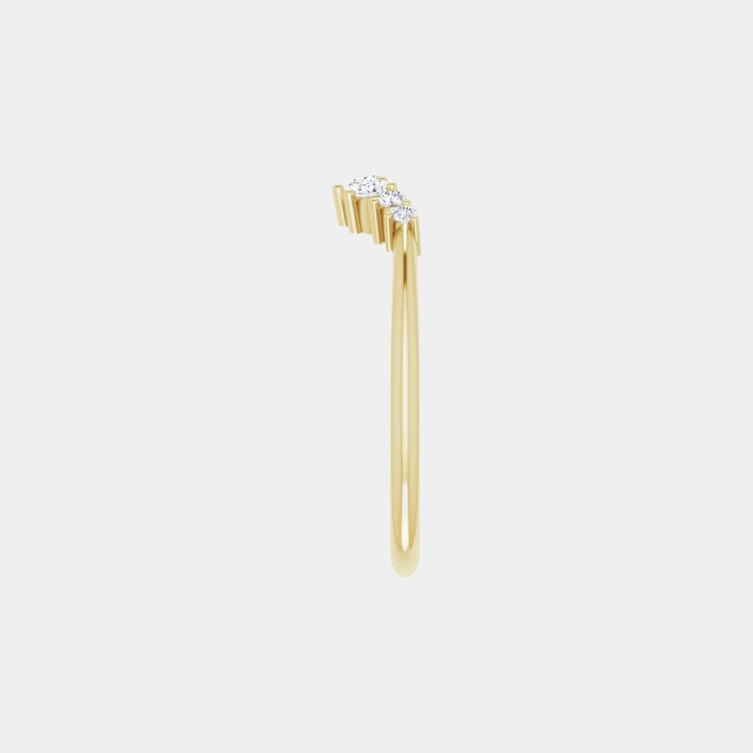 The Gold Poppy