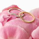 The Gold French Set Rounded Contour