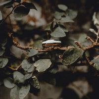 The Tungsten Antler & Koa Wood Inlay