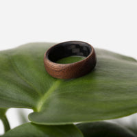 The Walnut