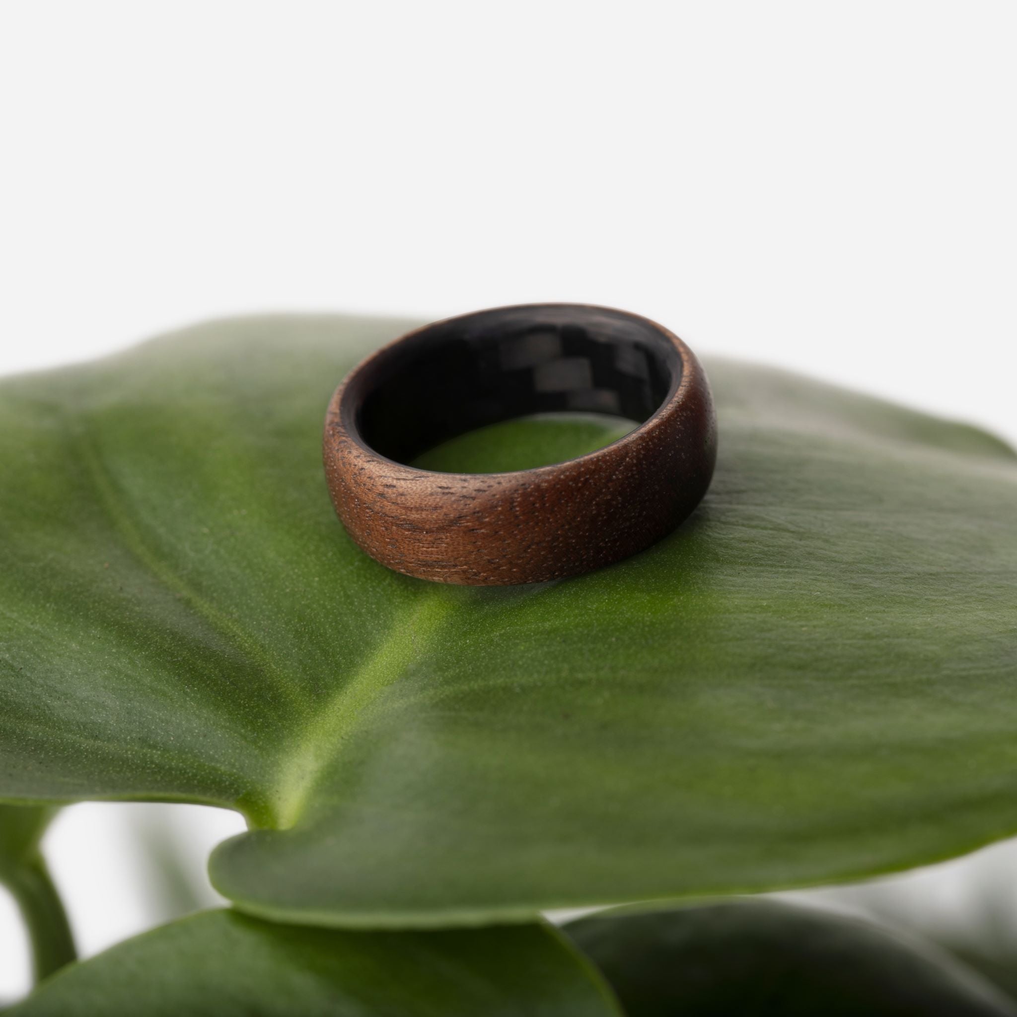 The Walnut