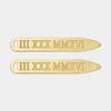 personalized collar stay
