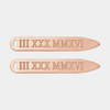 personalized collar stay